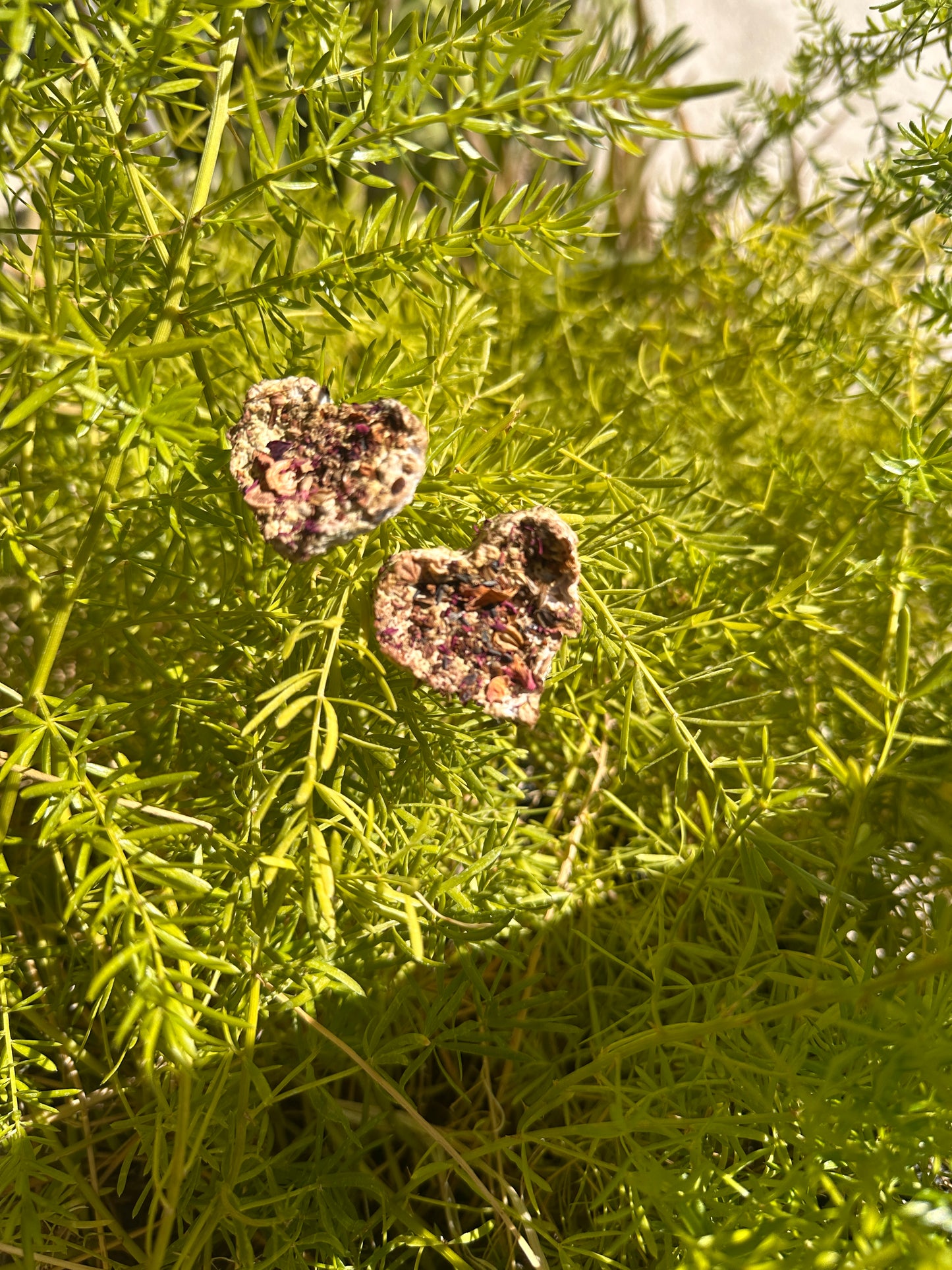 Seeded Paper Hearts