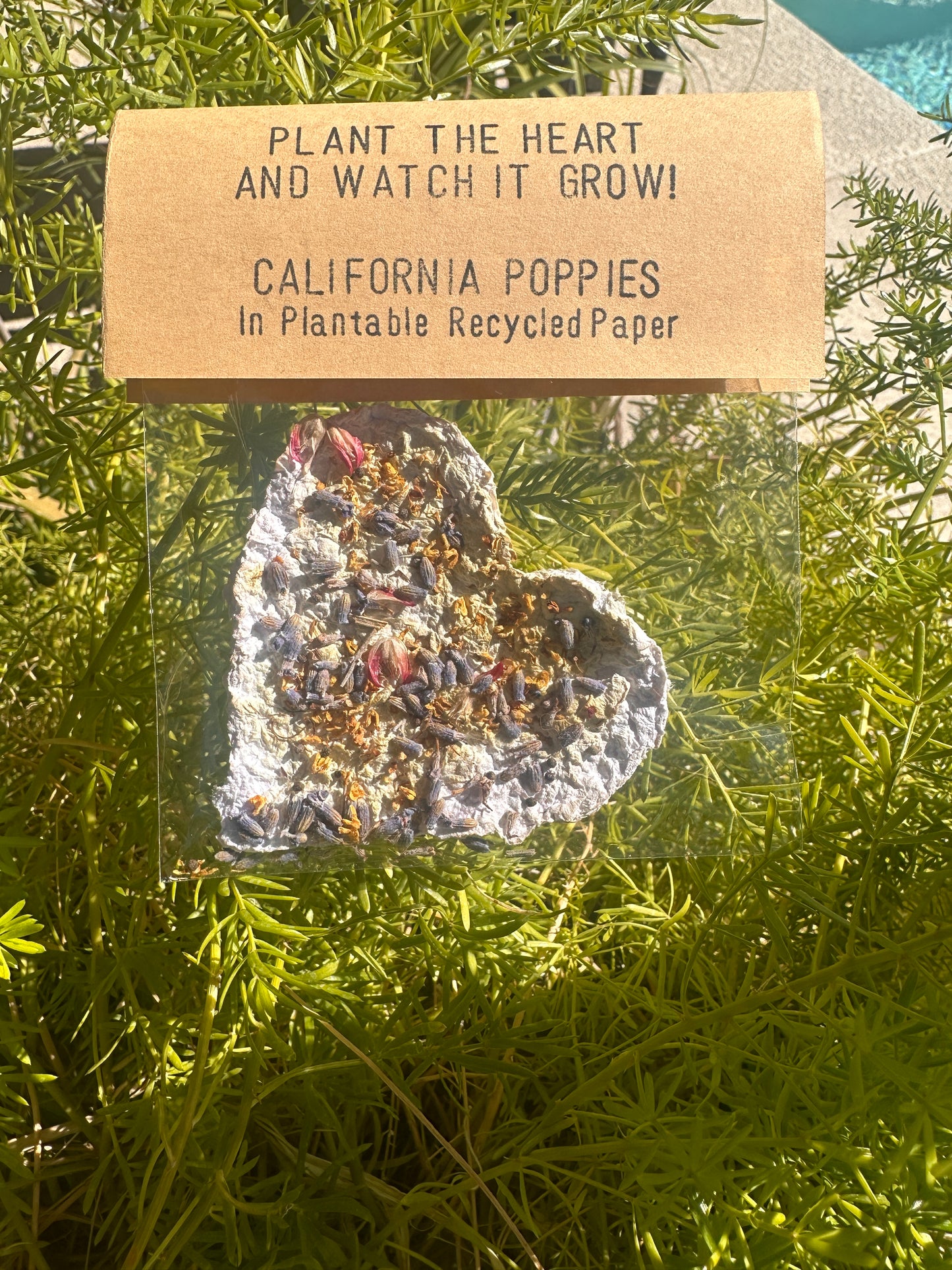 Seeded Paper Hearts