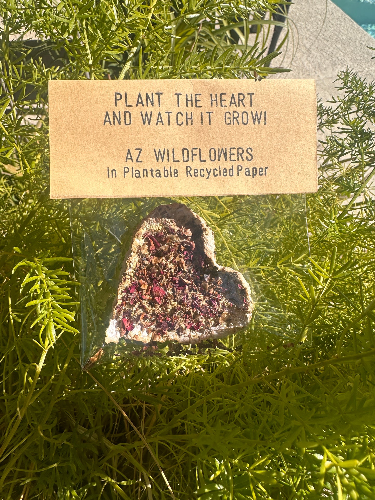 Seeded Paper Hearts