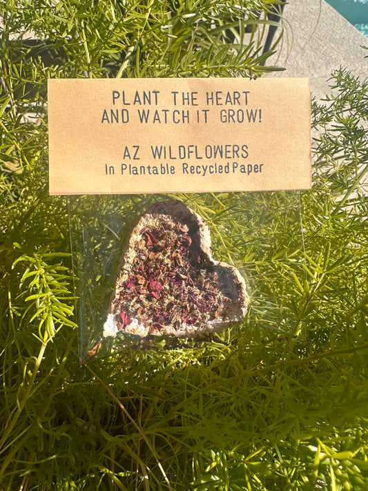 Seeded Paper Hearts