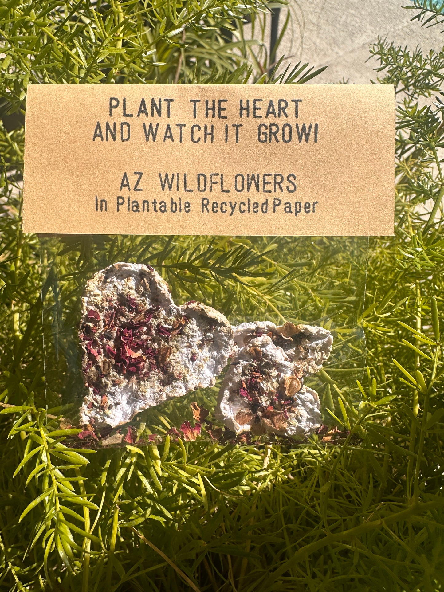 Seeded Paper Hearts